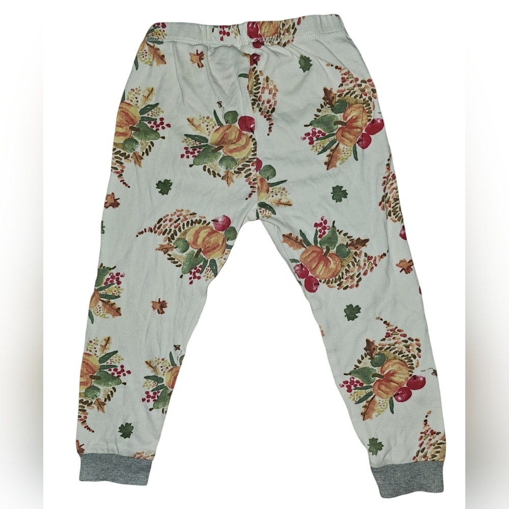 Burt's Bees Kids Boy Girl Thanksgiving Celebration Organic 2pc PJ Set Sz 3T - Picture 15 of 16